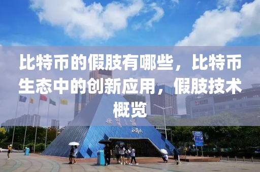 比特币的假肢有哪些，比特币生态中的创新应用，假肢技术概览