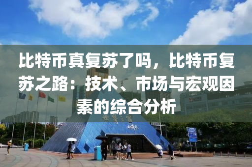 比特币真复苏了吗，比特币复苏之路：技术、市场与宏观因素的综合分析