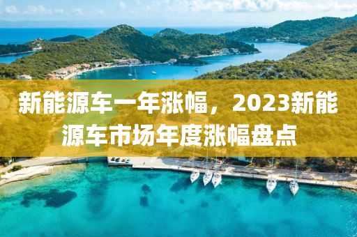 新能源车一年涨幅，2023新能源车市场年度涨幅盘点