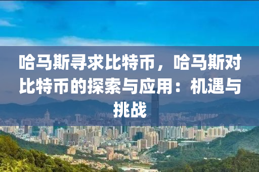 哈马斯寻求比特币，哈马斯对比特币的探索与应用：机遇与挑战