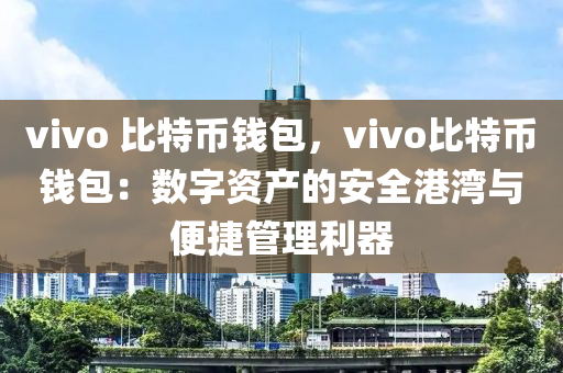 vivo 比特币钱包，vivo比特币钱包：数字资产的安全港湾与便捷管理利器