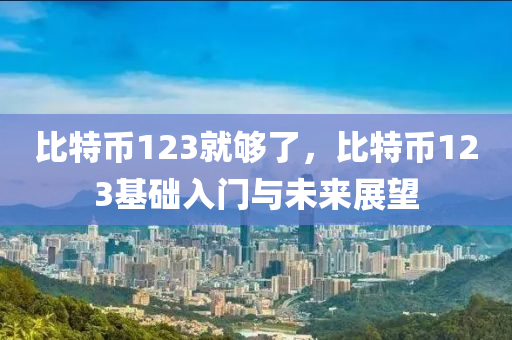 比特币123就够了，比特币123基础入门与未来展望