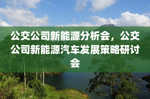 公交公司新能源分析会，公交公司新能源汽车发展策略研讨会