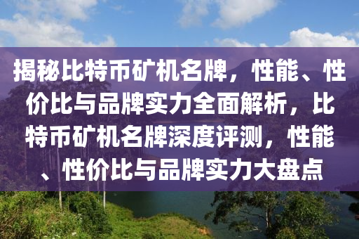 揭秘比特币矿机名牌，性能、性价比与品牌实力全面解析，比特币矿机名牌深度评测，性能、性价比与品牌实力大盘点