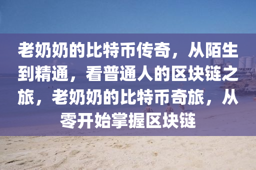 老奶奶的比特币传奇，从陌生到精通，看普通人的区块链之旅，老奶奶的比特币奇旅，从零开始掌握区块链