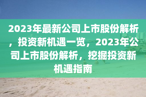 2023年最新公司上市股份解析，投资新机遇一览，2023年公司上市股份解析，挖掘投资新机遇指南