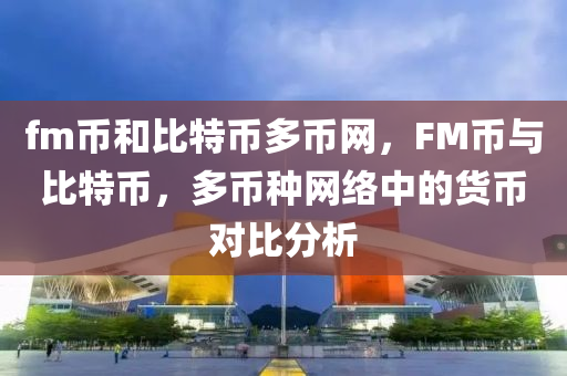 fm币和比特币多币网，FM币与比特币，多币种网络中的货币对比分析