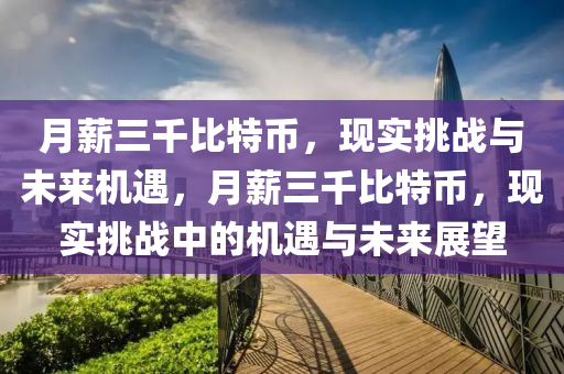 月薪三千比特币，现实挑战与未来机遇，月薪三千比特币，现实挑战中的机遇与未来展望