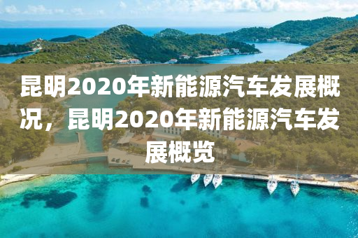 昆明2020年新能源汽车发展概况，昆明2020年新能源汽车发展概览