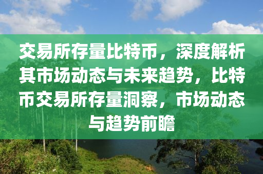 交易所存量比特币，深度解析其市场动态与未来趋势，比特币交易所存量洞察，市场动态与趋势前瞻