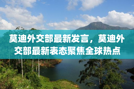 莫迪外交部最新发言，莫迪外交部最新表态聚焦全球热点