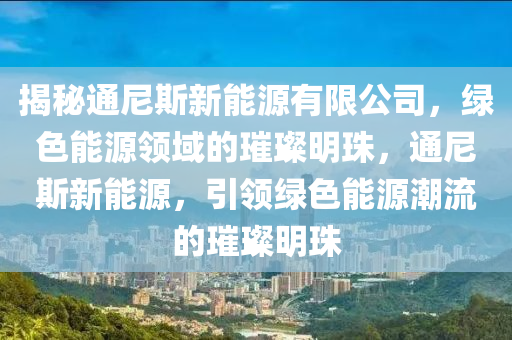 揭秘通尼斯新能源有限公司，绿色能源领域的璀璨明珠，通尼斯新能源，引领绿色能源潮流的璀璨明珠