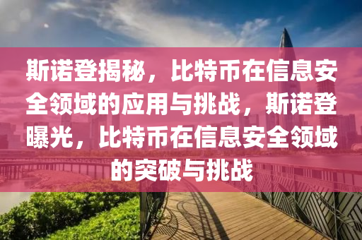 斯诺登揭秘，比特币在信息安全领域的应用与挑战，斯诺登曝光，比特币在信息安全领域的突破与挑战