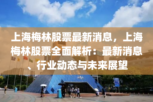 上海梅林股票最新消息，上海梅林股票全面解析：最新消息、行业动态与未来展望