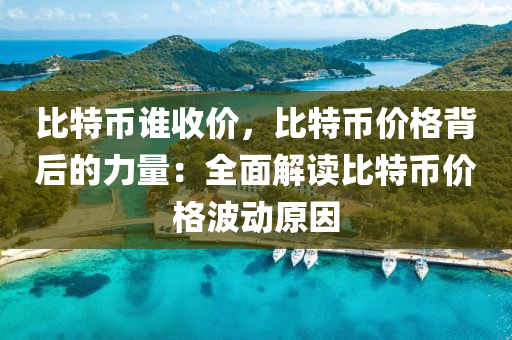 比特币谁收价，比特币价格背后的力量：全面解读比特币价格波动原因