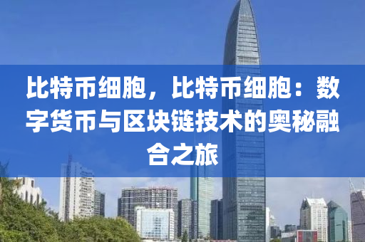 比特币细胞，比特币细胞：数字货币与区块链技术的奥秘融合之旅