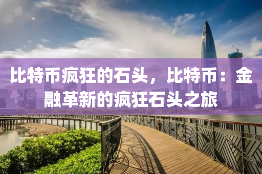 比特币疯狂的石头，比特币：金融革新的疯狂石头之旅