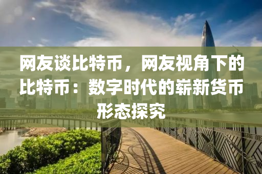 网友谈比特币，网友视角下的比特币：数字时代的崭新货币形态探究