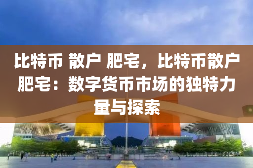 比特币 散户 肥宅，比特币散户肥宅：数字货币市场的独特力量与探索