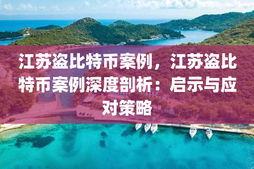 江苏盗比特币案例，江苏盗比特币案例深度剖析：启示与应对策略