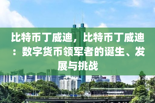 比特币丁威迪，比特币丁威迪：数字货币领军者的诞生、发展与挑战