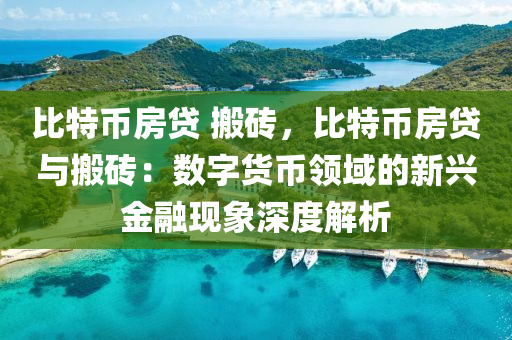 比特币房贷 搬砖，比特币房贷与搬砖：数字货币领域的新兴金融现象深度解析