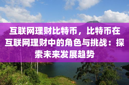 互联网理财比特币，比特币在互联网理财中的角色与挑战：探索未来发展趋势