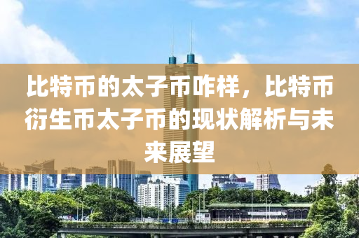 比特币的太子币咋样，比特币衍生币太子币的现状解析与未来展望