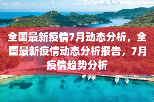 全国最新疫情7月动态分析，全国最新疫情动态分析报告，7月疫情趋势分析