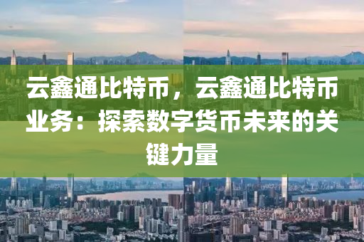 云鑫通比特币，云鑫通比特币业务：探索数字货币未来的关键力量