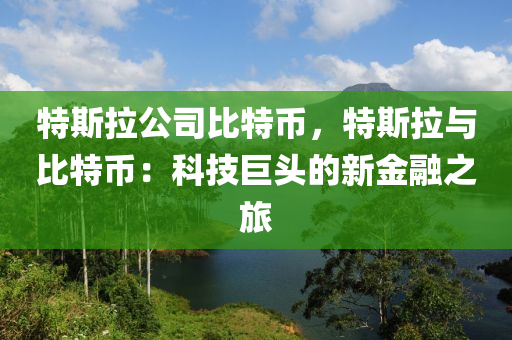 特斯拉公司比特币，特斯拉与比特币：科技巨头的新金融之旅