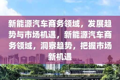 新能源汽车商务领域，发展趋势与市场机遇，新能源汽车商务领域，洞察趋势，把握市场新机遇