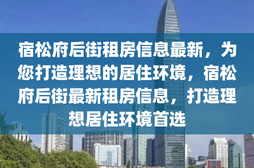 宿松府后街租房信息最新，为您打造理想的居住环境，宿松府后街最新租房信息，打造理想居住环境首选