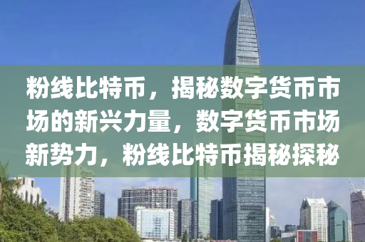 粉线比特币，揭秘数字货币市场的新兴力量，数字货币市场新势力，粉线比特币揭秘探秘