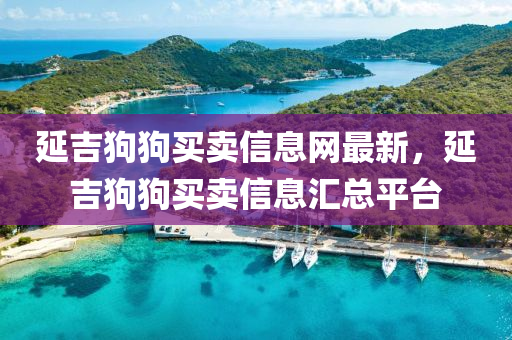 延吉狗狗买卖信息网最新，延吉狗狗买卖信息汇总平台