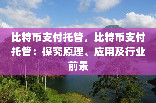 比特币支付托管，比特币支付托管：探究原理、应用及行业前景