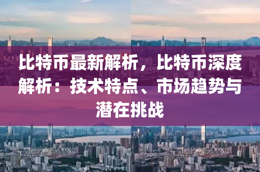 比特币最新解析，比特币深度解析：技术特点、市场趋势与潜在挑战