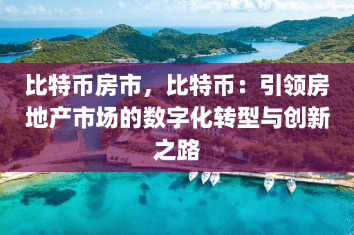 比特币房市，比特币：引领房地产市场的数字化转型与创新之路