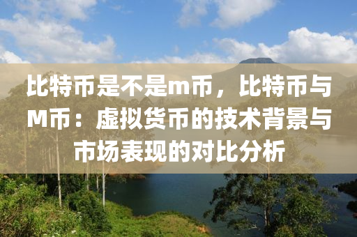 比特币是不是m币，比特币与M币：虚拟货币的技术背景与市场表现的对比分析