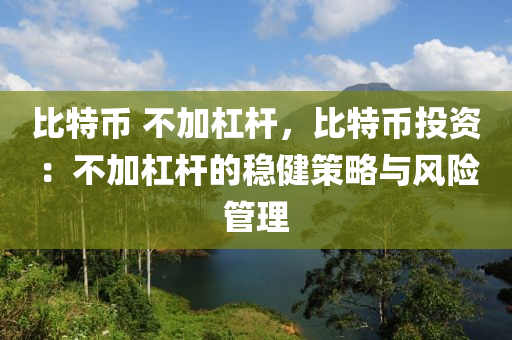 比特币 不加杠杆，比特币投资：不加杠杆的稳健策略与风险管理