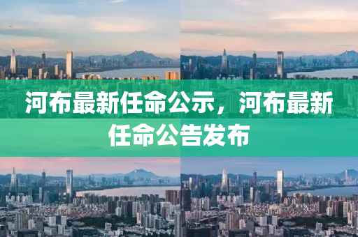 河布最新任命公示，河布最新任命公告发布