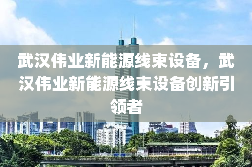 武汉伟业新能源线束设备，武汉伟业新能源线束设备创新引领者