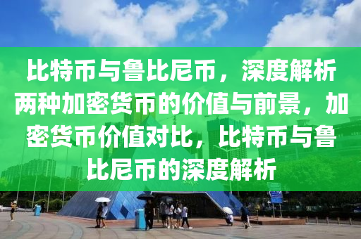 比特币与鲁比尼币，深度解析两种加密货币的价值与前景，加密货币价值对比，比特币与鲁比尼币的深度解析