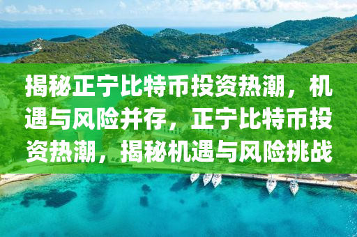 揭秘正宁比特币投资热潮，机遇与风险并存，正宁比特币投资热潮，揭秘机遇与风险挑战