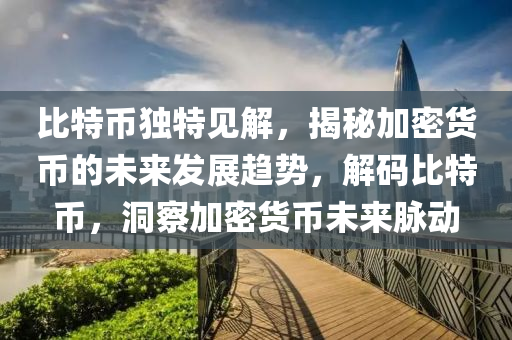 比特币独特见解，揭秘加密货币的未来发展趋势，解码比特币，洞察加密货币未来脉动