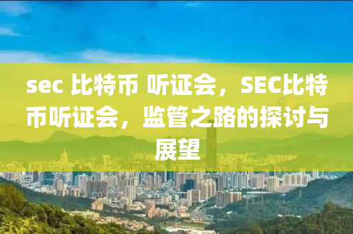 sec 比特币 听证会，SEC比特币听证会，监管之路的探讨与展望