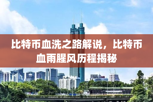 比特币血洗之路解说，比特币血雨腥风历程揭秘