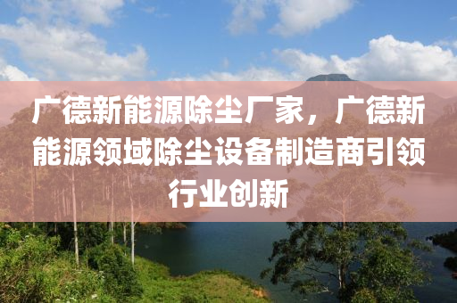 广德新能源除尘厂家，广德新能源领域除尘设备制造商引领行业创新