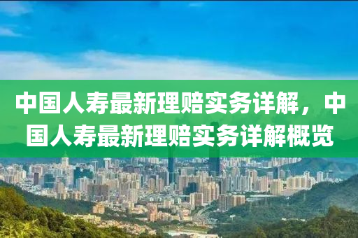 中国人寿最新理赔实务详解，中国人寿最新理赔实务详解概览