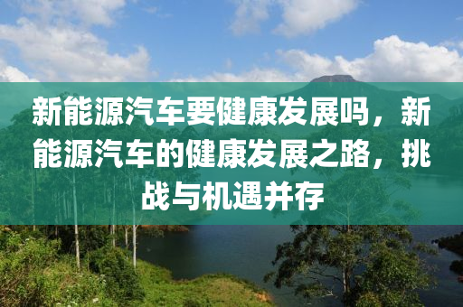 新能源汽车要健康发展吗，新能源汽车的健康发展之路，挑战与机遇并存